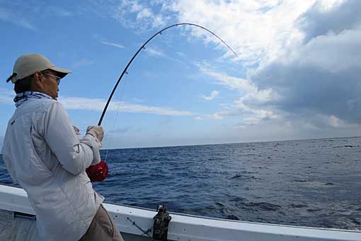 チーム K ｂullet その他の魚種